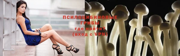 mix Надым