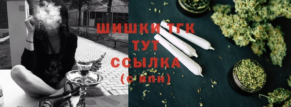 mix Надым