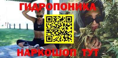крисы Беслан