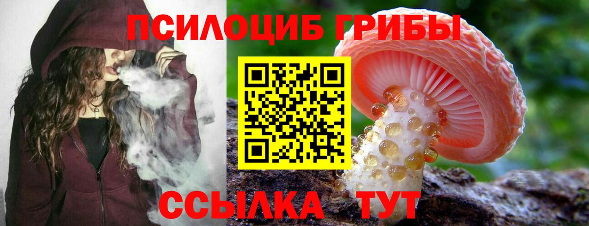 Галлюциногенные грибы мухоморы Камень-на-Оби
