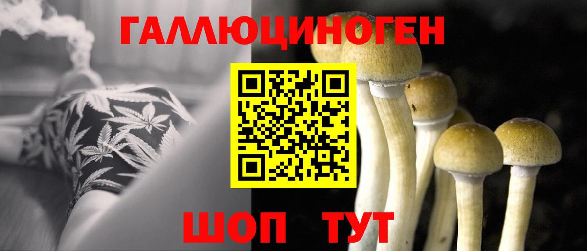 Галлюциногенные грибы Psilocybe  Вход с VPN  Камень-на-Оби 